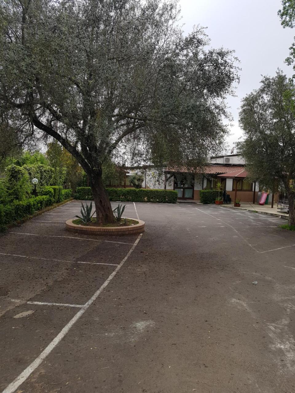 Bed and Breakfast San Pietro Mileto Экстерьер фото